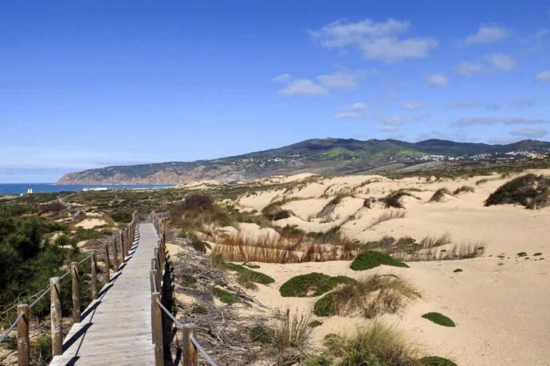 Between Worlds: Emotional Journey Through Sintra & Cascais - Discover Sintra and Cascais with a Personal Touch in Portugal