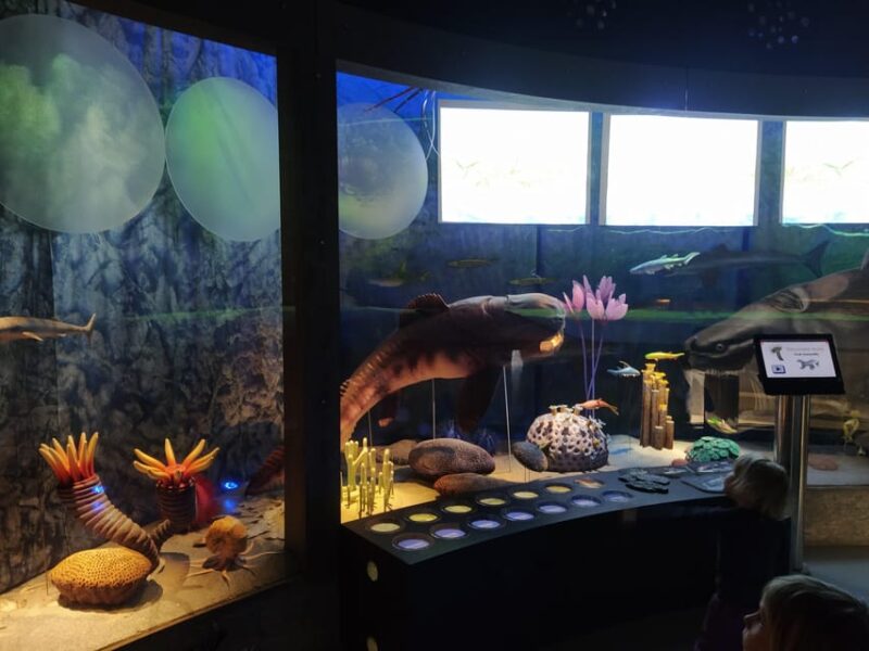 Beyond Brno: Best of Czech Caves - Full-Day Hiking Tour - The Experience Provider and Guide Expertise