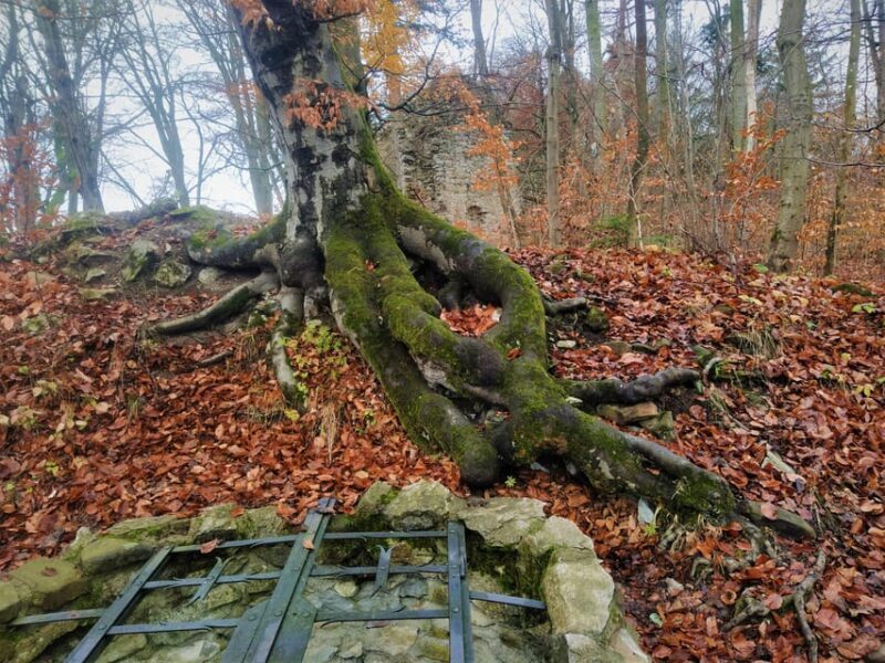 Beyond Brno: Secrets of Moravian Nature - Half-Day Tour - The Walk from Heliova skála to Punkva Caves