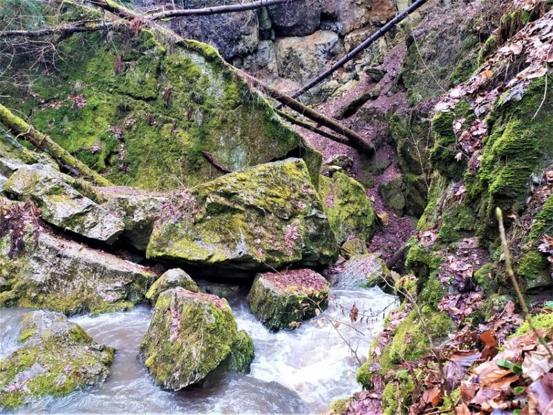 Beyond Brno: Secrets of Moravian Nature - Half-Day Tour - Final Thoughts on the Moravian Nature Adventure