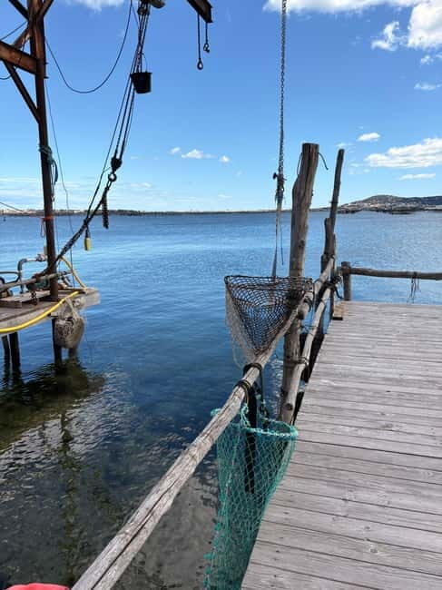 Béziers: Wine and Oyster Tasting Tour at Thau lagoon - Key Points