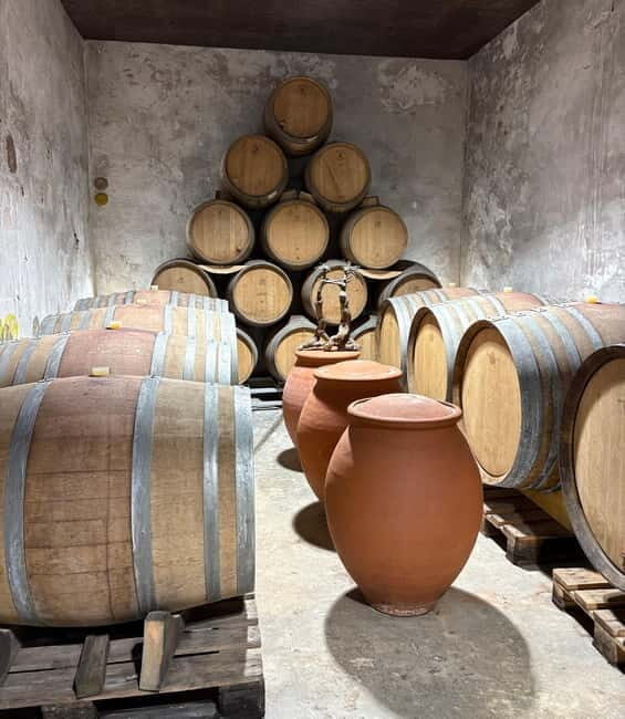 Béziers: Wine and Oyster Tasting Tour at Thau lagoon - Visiting the Picpoul de Pinet Winery for a Fresh White Wine Tasting