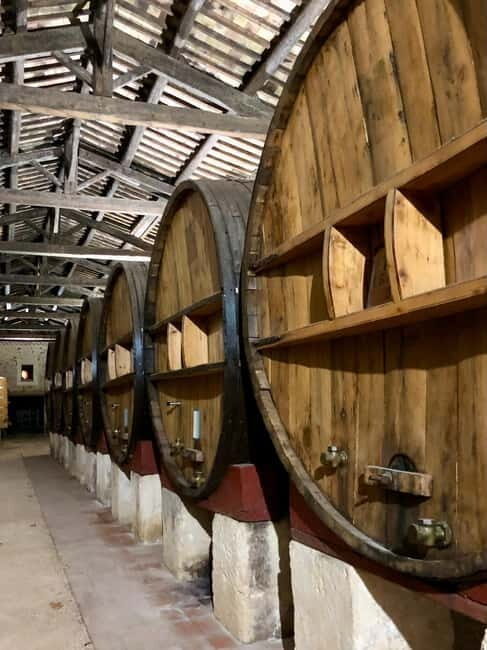 Béziers: Wine and Oyster Tasting Tour at Thau lagoon - Practical Details and Considerations