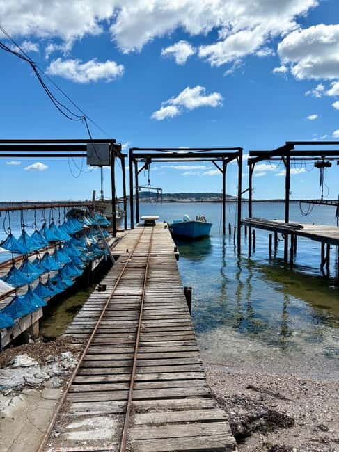 Béziers: Wine and Oyster Tasting Tour at Thau lagoon - Who Will Appreciate This Tour Most?