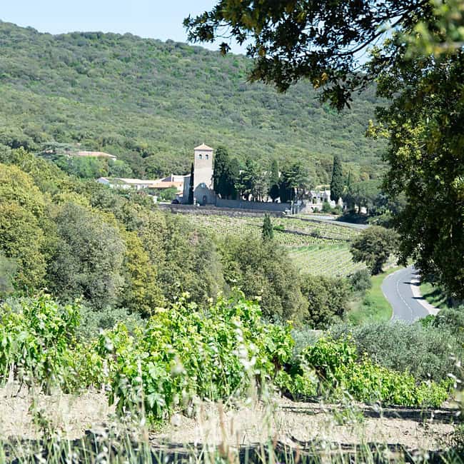 Béziers : Wine Tours & Wine tasting - Explore Languedoc Vineyards on a 3.5-Hour Tour from Béziers