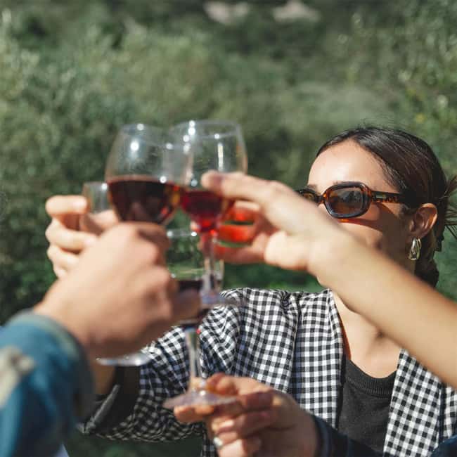 Béziers : Wine Tours & Wine tasting - Visiting the Faugères Wine Region