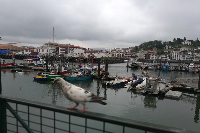 Biarritz & La Côte Basque Private tour - Frequently Asked Questions