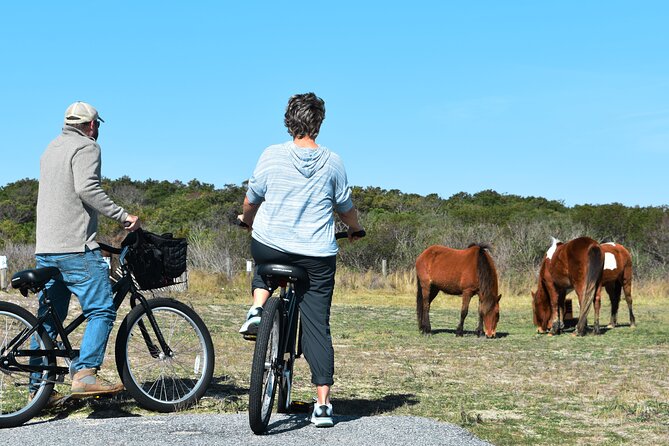 Bicycle Rental from Visitor Center location at Assateague, MD - Key Points