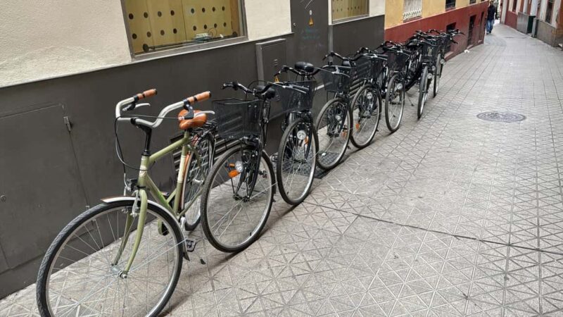 Bicycle tour of Seville - Discover Seville at a Comfortable Pace on a Bicycle Tour
