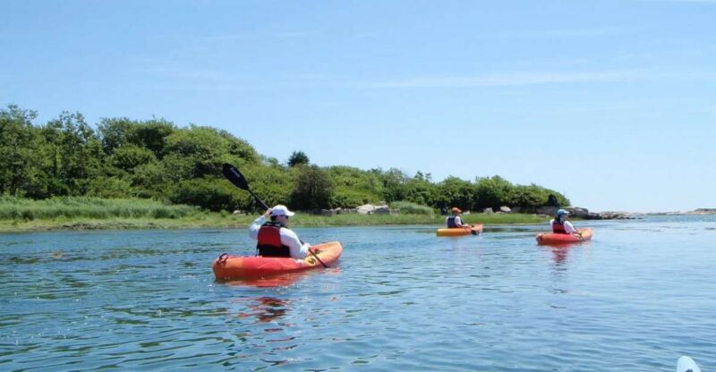 Biddeford Pool: Half Day Kayak or SUP Rental - Discover the Charm of Biddeford Pool with a Half-Day Kayak or SUP Rental