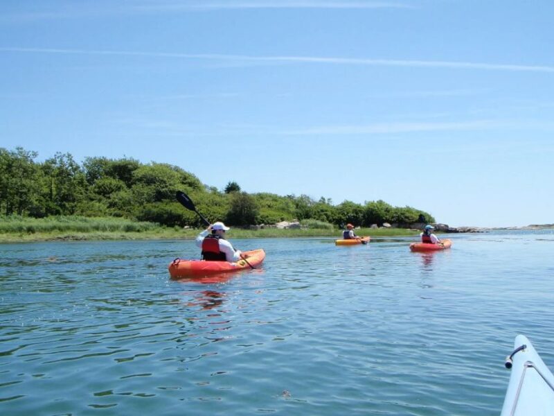 Biddeford Pool: Half Day Kayak or SUP Rental - Logistics: Meeting Point and Group Size
