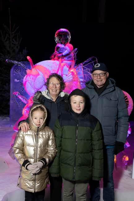 Biddinghuizen: Dutch Ice Sculpture Festival Entry Ticket - Key Points