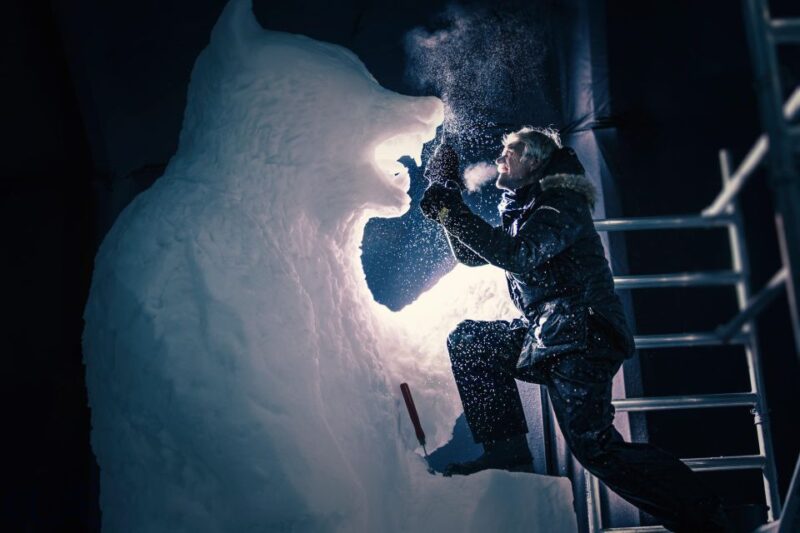 Biddinghuizen: Dutch Ice Sculpture Festival Entry Ticket - What to Expect Inside the Ice Hall