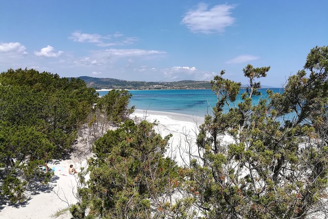 Biderosa and Capo Comino Beach Tour - Experience the Best of Sardinia’s Hidden Beaches with This Full-Day Tour