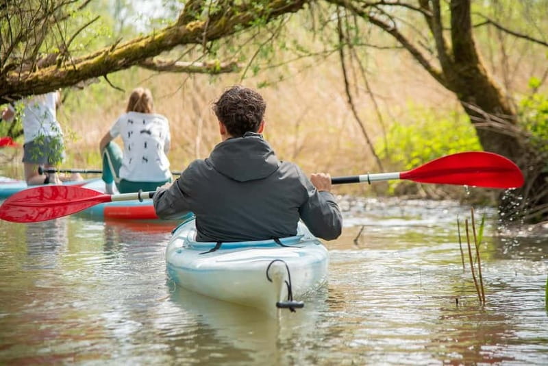 Biesbosch: Kayak Rental with Route Map and Life Jacket - Key Points
