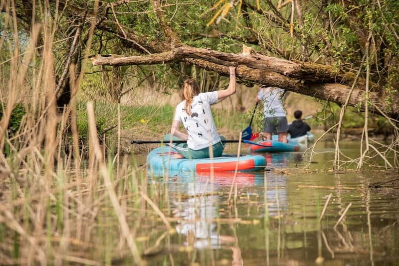 Biesbosch: Kayak Rental with Route Map and Life Jacket - Navigating the Tidal Landscape of Biesbosch