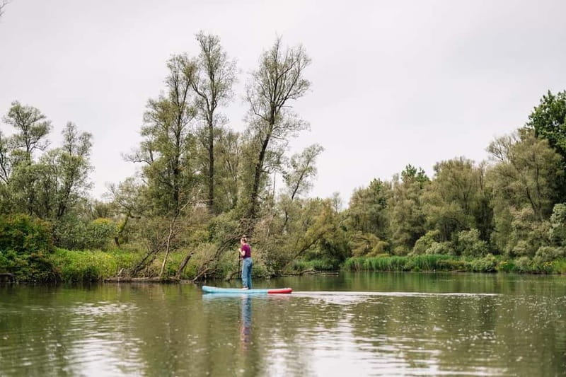 Biesbosch: SUP Board Rental - Key Points