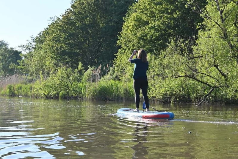 Biesbosch: SUP Board Rental - Rent a SUP Board in the Biesbosch and Discover Tidal Creeks