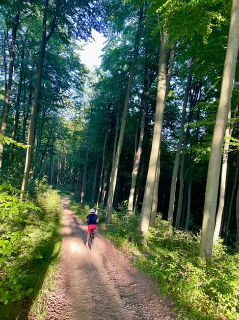 Bieszczady Mountains: Electric Bike Rental with Delivery - Optional Extras for a More Comfortable Ride