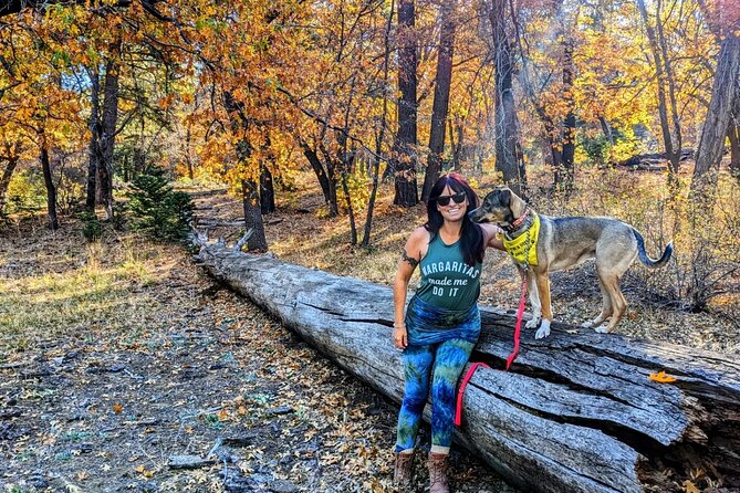 Big Bear Fall Colors Hiking Tour in Southern California - Key Points