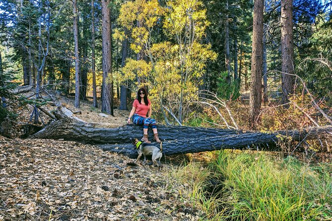 Big Bear Fall Colors Hiking Tour in Southern California - Practical Details: Meeting, Group Size, and Accessibility