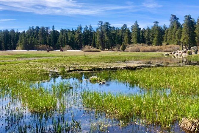Big Bear Jeep off-road tour with Hike to Bluff Lake Reserve - Starting Point and Tour Duration in Big Bear