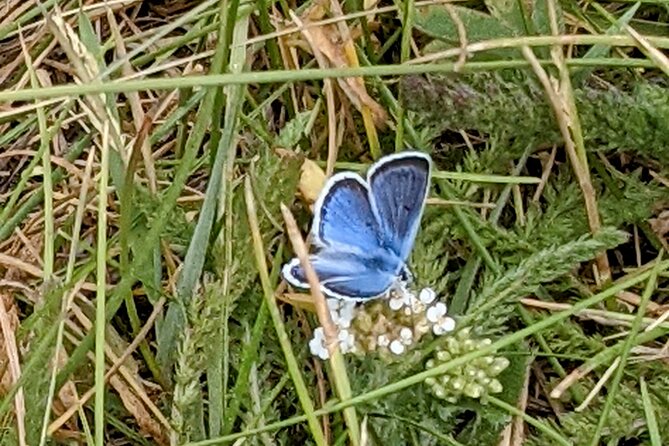 Big Bear Jeep off-road tour with Hike to Bluff Lake Reserve - Learning Opportunities with a Knowledgeable Guide