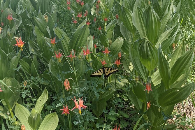 Big Bear Jeep off-road tour with Hike to Bluff Lake Reserve - Flexibility in Trail Choices and Seasonal Appeal