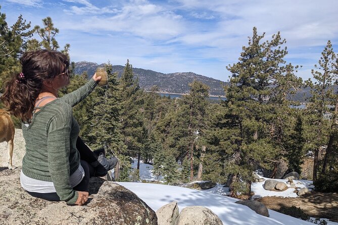 Big Bear Lake Jeep Tour with Light Lunch - Who Will Enjoy This Tour Most?