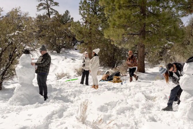 Big Bear Lake Snow Play Adventure - Cost-Effective and Flexible Booking Options