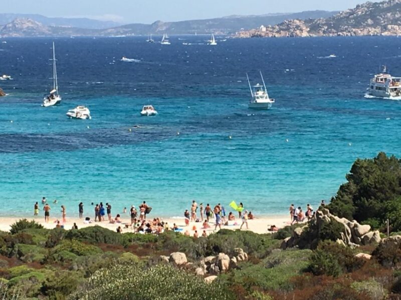 Big Boat tour for the Maddalena Archipelago or Corsica - Who Will Appreciate This Tour Most?