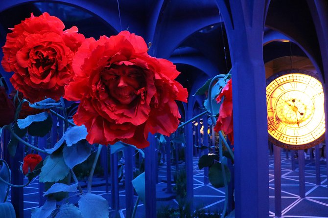 Big Fun Museum Ticket - The Nearby Museum of Illusions and 3D Paintings Experience