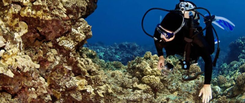 Big Island: 3 Hour Waikoloa Snorkeling & Sailing Adventure - Scenic Sailing Along the Waikoloa and Kohala-Kona Coastlines