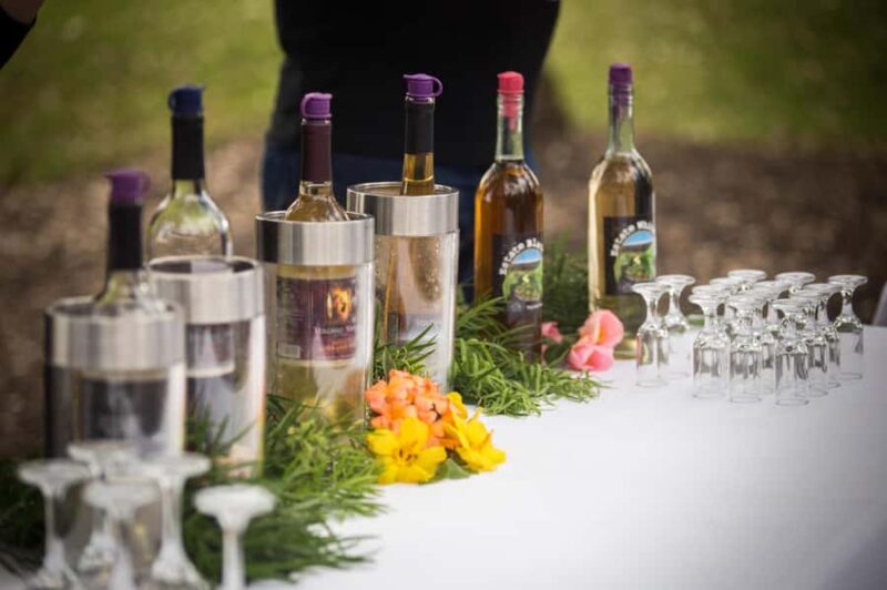 Big Island: Evening Volcano Explorer From Kona or Kohala - Starting Point and Transportation Details