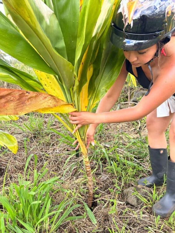 Big Island: Family Off Road Adventure at Ohana Ranch - Discover the Big Island Off-Road Family Adventure at Ohana Ranch