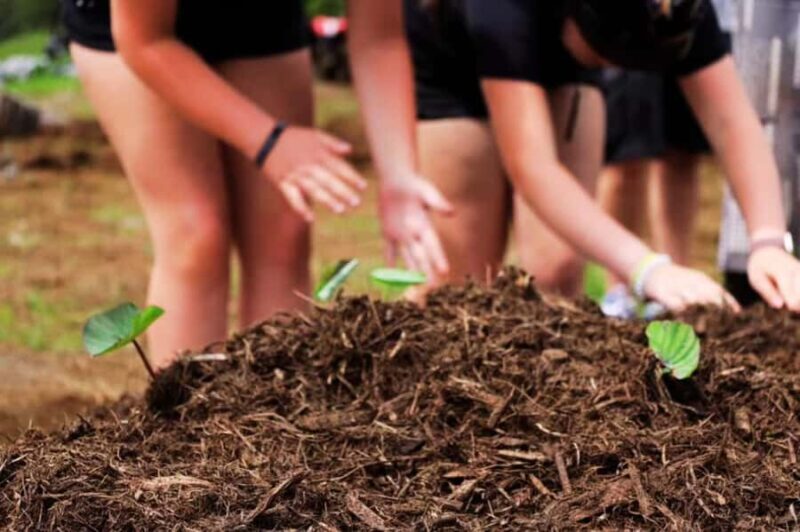 Big Island: Family Off Road Adventure at Ohana Ranch - Scenic Backroads and Mountain Views During the Ride