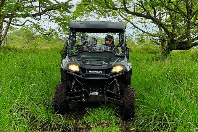 Big Island Family Off Road Farm Adventure - Animal Sightings and Farm Life