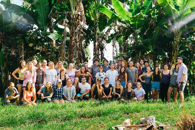 Big Island Farms Tour in Hawaii - Practical Details: Meeting Point, Group Size, and Physical Demands