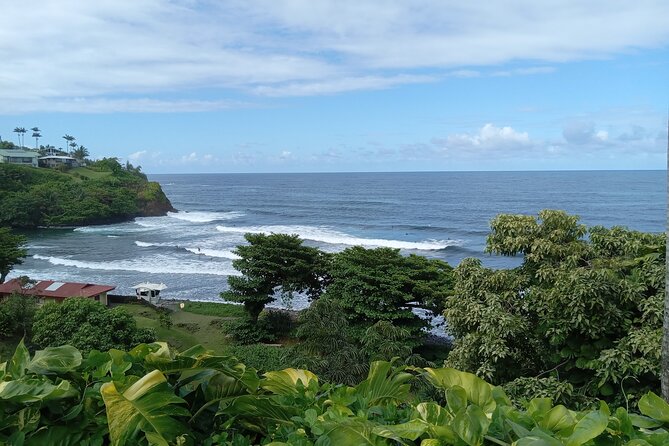 Big Island Full Circle with Volcanoes and Akaka Falls Tour - Tasting Hawaiian Flavors at Punaluu Bake Shop