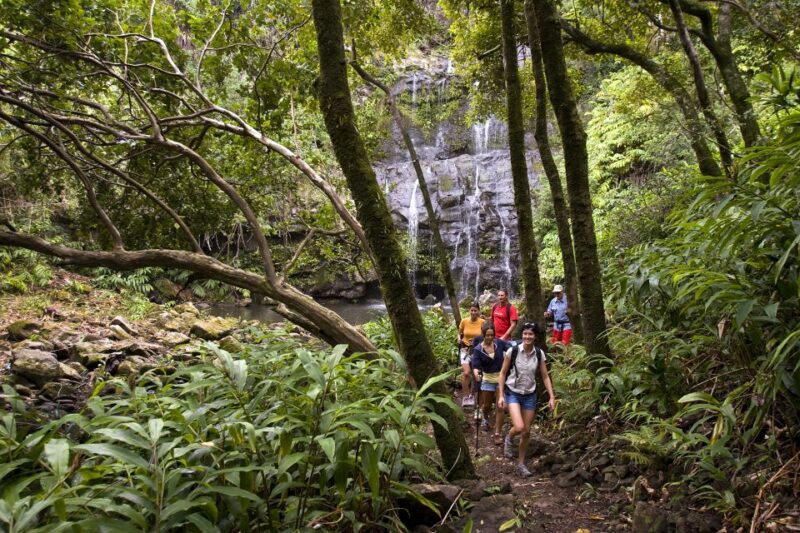Big Island: Full Day Adventure Tour of the Kohala Waterfalls - Guided Walk Through a Private Stream and Waterfalls