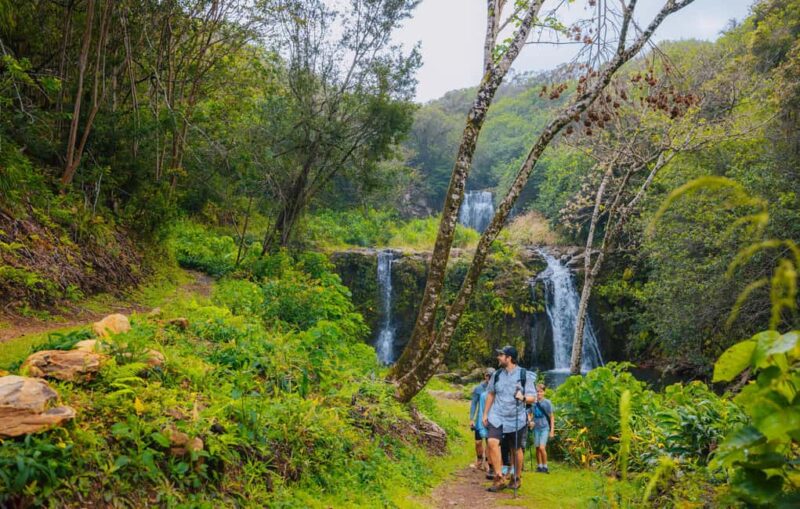 Big Island: Full Day Adventure Tour of the Kohala Waterfalls - Physical Requirements and Considerations