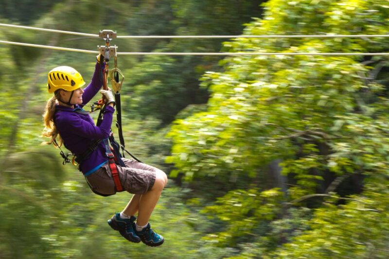 Big Island: Full-Day Kohala Zipline and Waterfall Adventure - Scenic Drive and Aerial Adventure on Hawaii’s Oldest Volcano