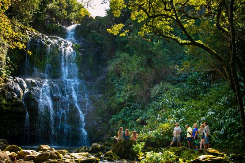 Big Island: Full-Day Kohala Zipline and Waterfall Adventure - Walking to Secluded Waterfalls in a Private Reserve