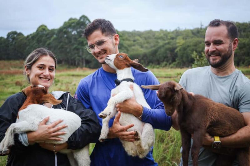 Big Island: Hand Feed & Cuddle Baby Goats - Meet, Feed, and Cuddle Baby Goats on the Big Island