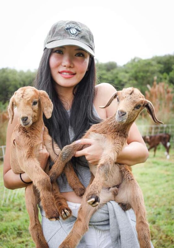 Big Island: Hand Feed & Cuddle Baby Goats - The Sum Up: A Heartwarming Farm Visit with Baby Goats on the Big Island