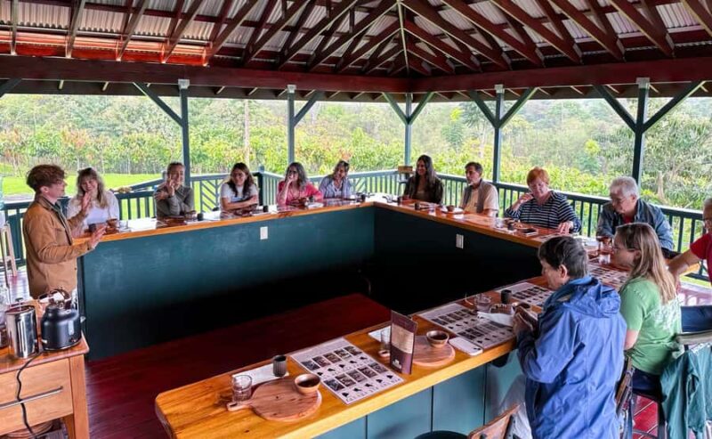 Big Island Hawaii: Craft Chocolate Tasting and Farm Tour - Key Points