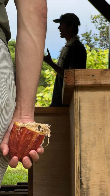 Big Island Hawaii: Craft Chocolate Tasting and Farm Tour - Understanding Cacao Fermentation and Its Role
