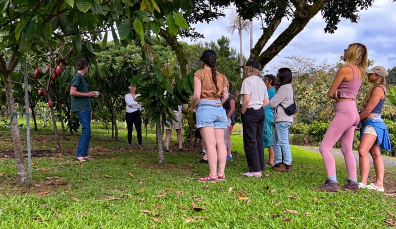 Big Island Hawaii: Craft Chocolate Tasting and Farm Tour - Tasting 10 Single-Origin Hawaiian Craft Chocolates