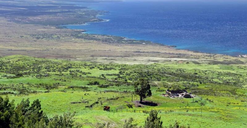 Big Island, Hawaii: Polaris Slingshot Rental - Key Points