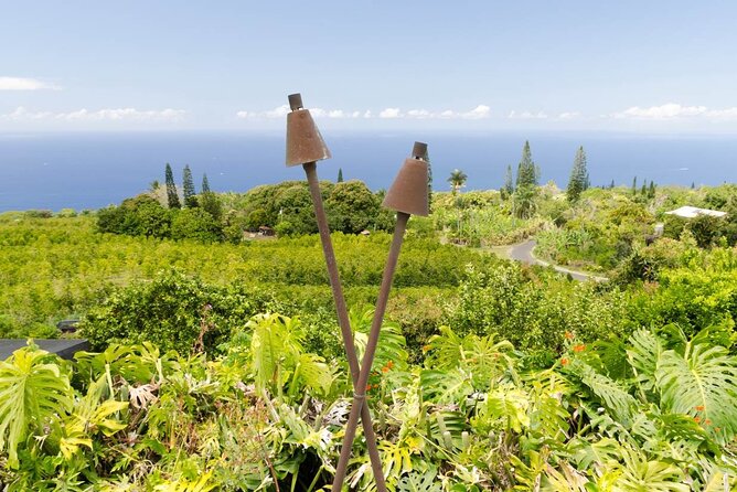 Big Island Hawaii Self-Guided Driving Tour - Sugar Mill Road and Small Waterfall Stop